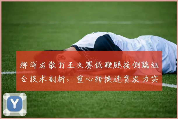 柳海龙散打王决赛低鞭腿接侧踹组合技术剖析，重心转换连贯发力实战应用
