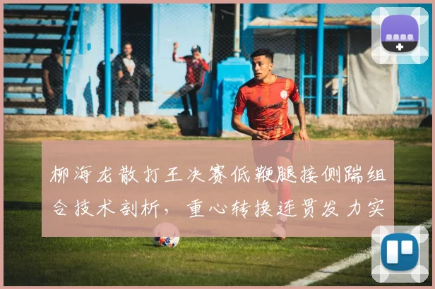 柳海龙散打王决赛低鞭腿接侧踹组合技术剖析，重心转换连贯发力实战应用