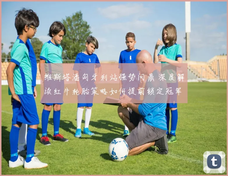 维斯塔潘匈牙利站强势问鼎 深度解读红牛轮胎策略如何提前锁定冠军走向