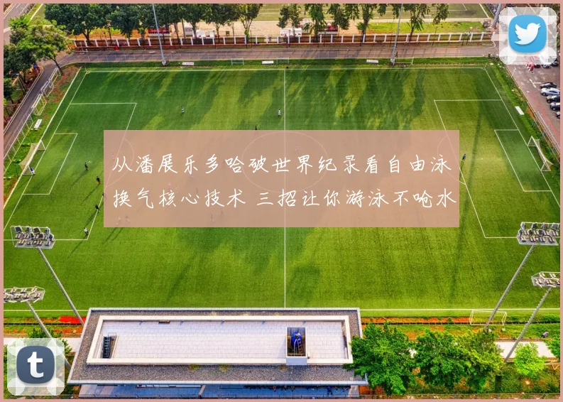 从潘展乐多哈破世界纪录看自由泳换气核心技术 三招让你游泳不呛水